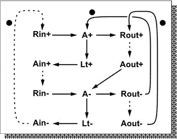 semi-decoupled-4phase-STG.jpg